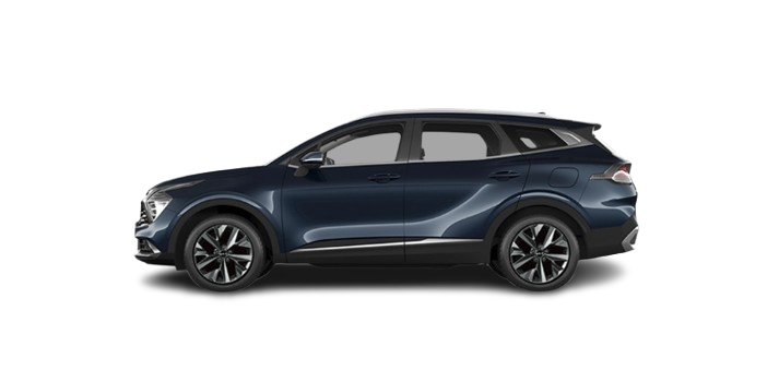 blue sportage L
